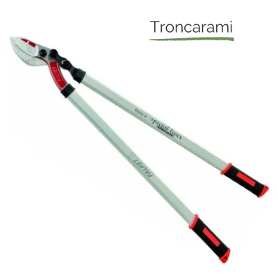 Troncarami